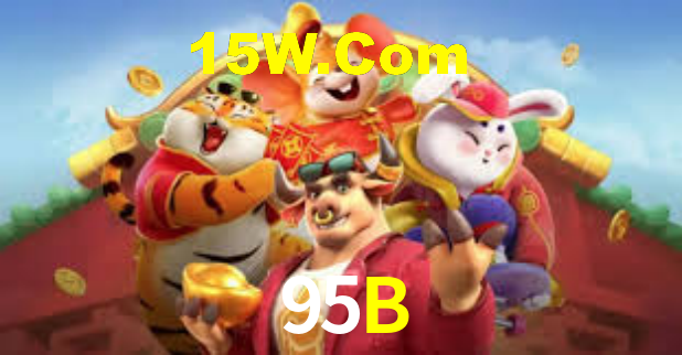 Premium Interface 95B
